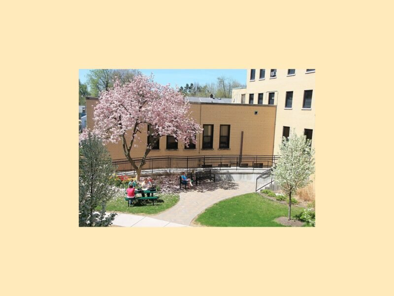 Trocaire College